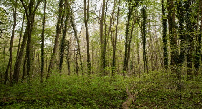 AM: a KEHOP Plusz keretében elindult a biológiai sokféleség állapotának korszerű módszerekkel történő nyomon követését megalapozó 5 éves kiemelt projekt